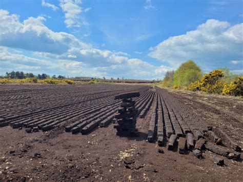 Ireland’s Cutaway Peatlands