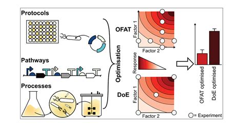 Statistical Design of Experiments for Synthetic Biology | ACS Synthetic ...