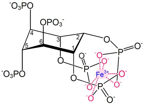 Nutrients | Free Full-Text | Potential of Phytase-Mediated Iron Release ...