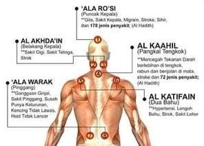 8 TITIK SUNNAH BEKAM DAN RELEVANNYA - My Rehab Spa