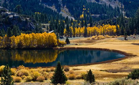 24+ Autumn Wallpapers, Backgrounds, Images, Pictures | Design Trends ...