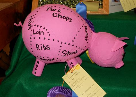 5 Types of 4-H Projects Showcased at the St. Charles County Fair | St ...