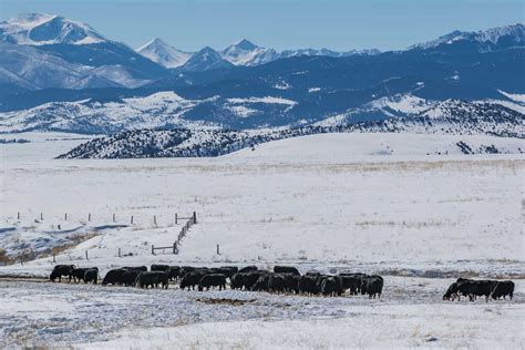 cattle property for sale montana nortn boulder river ranch | Fay Ranches