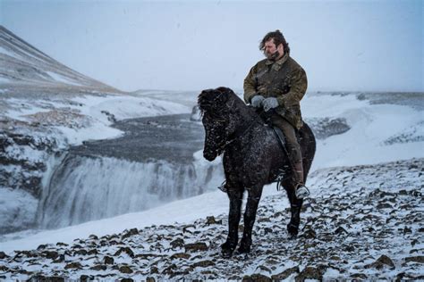 Sustainable Horseback Riding In Iceland Near Reykjavik with the Best ...