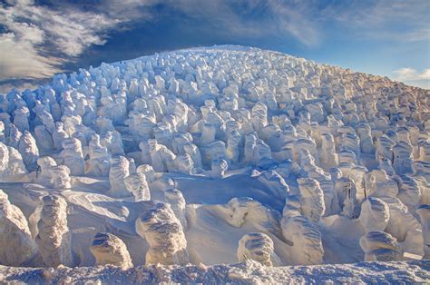 Japan's snow monsters - Suzanne Lovell Inc.