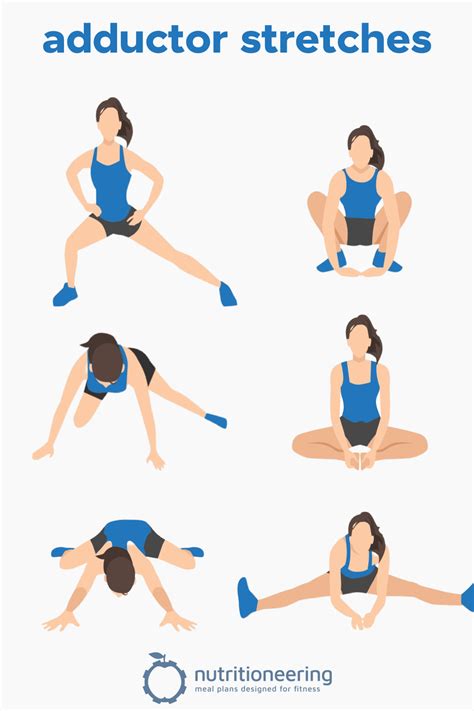 15 Hip Adductor Stretches To Loosen Tight Groin Inner Thighs – NBKomputer