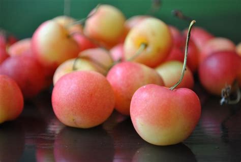 Rainier Cherry | Fruit Maven