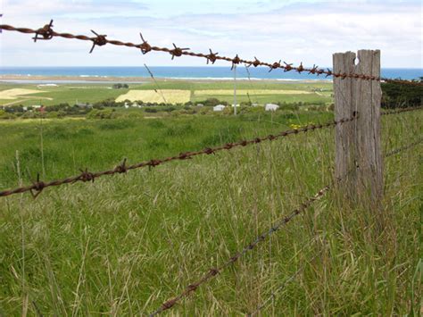 Image - Barb-Wire-Fence.jpg | Zombiepedia | FANDOM powered by Wikia