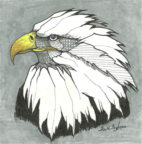 Bald Eagle, Head Drawing by Faith Frykman