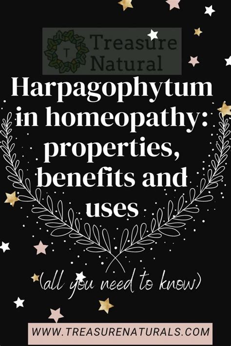 Harpagophytum in homeopathy: properties, benefits and uses (all you ...