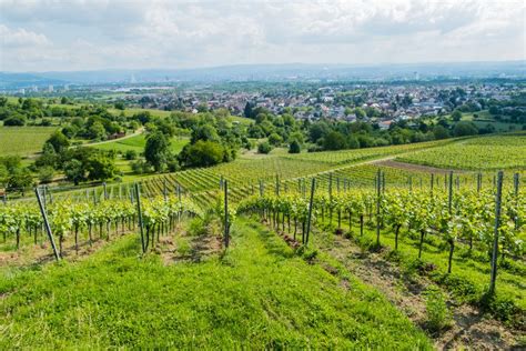 Weil am Rhein – The city of chairs - Tourism.de - Awesome travel ...