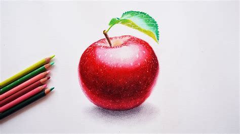 Sketch Realistic Apple Drawing