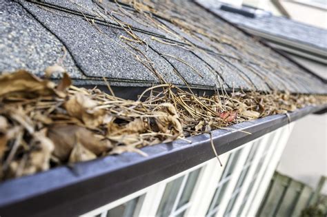 Learn These Gutter Cleaning Safety Tips - Franchise Guide HQ UK