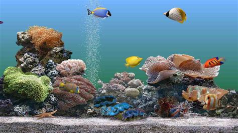 Perleputz: Aquarium Screensaver