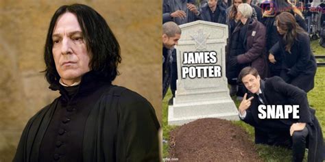 Manga Harry Potter: 10 Memes That Perfectly Sum Up Snape As A Character ...