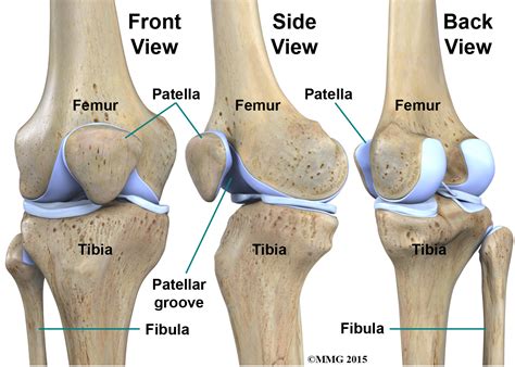 Knee Pain Haymarket VA Physical Therapy