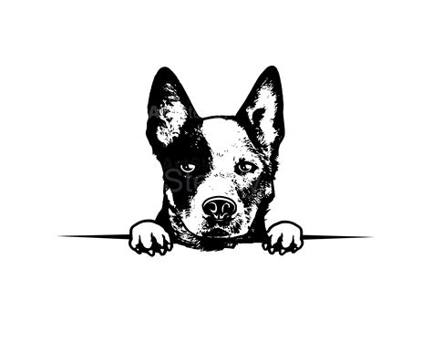 Heeler svg files Graphic Art Australian Cattle Dog svg tell your dog i ...