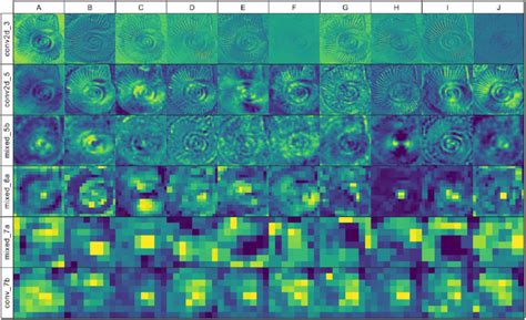 Visualization of the feature maps of different layers from ...