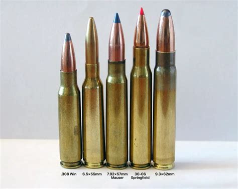 3030 vs 308 | Caliber Guide