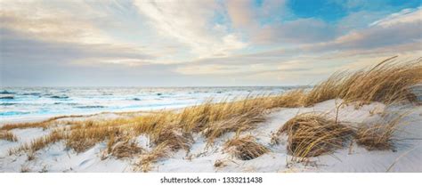 View Over Danish North Sea Coast Stock Photo 1333211438 | Shutterstock