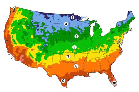 Tioir zanov: 49+ Fall Planting Guide Zone 9B Images