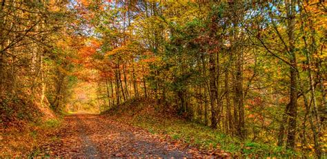 Virginia Creeper Trail Conservancy – Nonprofit organization benefiting ...