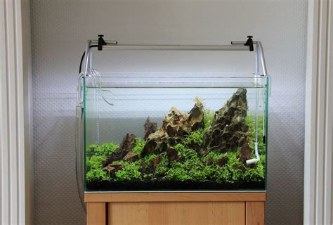 Small Aquarium Aquascape : Jual Aquarium Aquascape Miniature Air Terjun ...