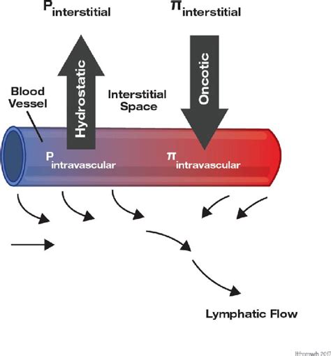 Hydrostatic Pressure Capillary