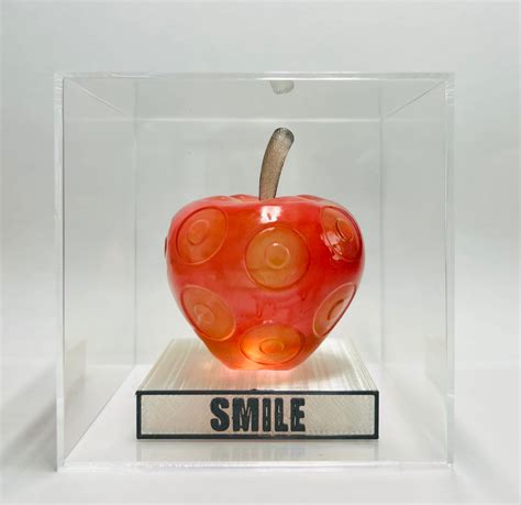 Artificial Devil Fruit SMILE Prop - Etsy