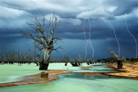 Winners of National Geographic Photography Contest - Business Insider