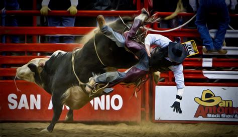 San Antonio Stock Show & Rodeo | Anderson Marketing Group