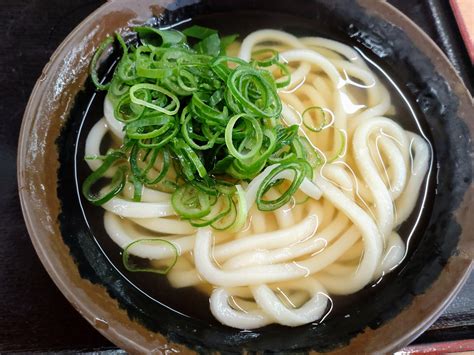 Udon Guide: Types of Udon Noodles - Japan Web Magazine