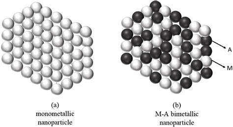 Schematic structure of mono and bimetallic catalysts | Download ...