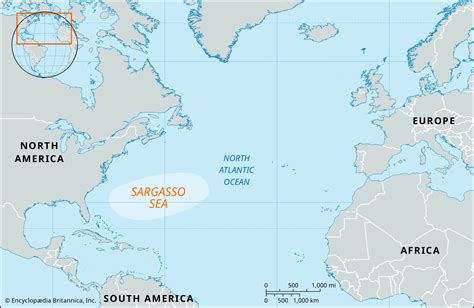 Sargasso Sea | Map, Location, Depth, & Facts | Britannica