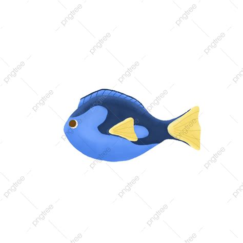 Dory Fish Clipart PNG Images, Small Dori Fish Illustration Yellow Fin ...