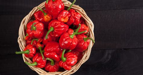 Scorpion Pepper VS Ghost Pepper: How Are They Different?