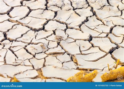 Dried and Cracked Earth Pattern, Drought Concept Stock Image - Image of ...