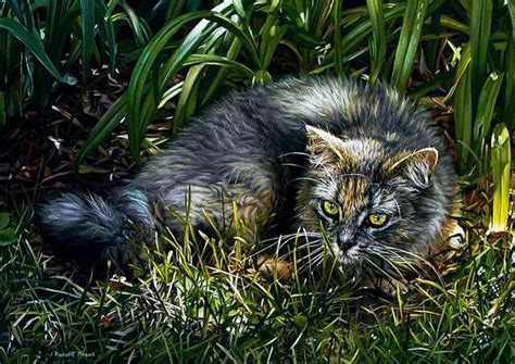 Cat in Garden, resting, painting, grass, artwork, HD wallpaper | Peakpx