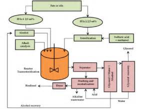 Process diagram of biodiesel production (Source: Ortega et al. (2013 ...