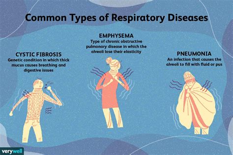 Identify The Different Types Of Respiratory System In Animals - Design Talk