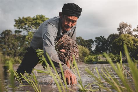 Land Reform in the Philippines: Coming Full Circle - BORGEN