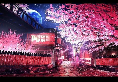 Anime Cherry Blossom Night - animezi