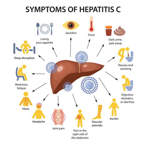 Hepatitis C | Sexual Health