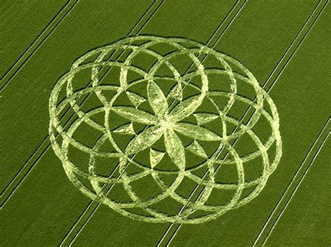 1920x1080px, 1080P free download | Crop-Circles, crop, circles, cool ...