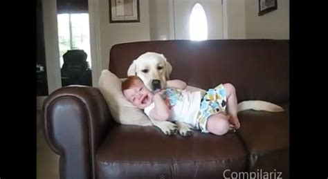 Daily Pet: Babies Laughing at Dogs | RTM - RightThisMinute