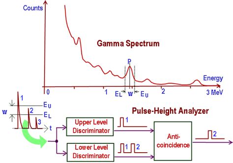 Proportional Counter - Proportional Detector | nuclear-power.com