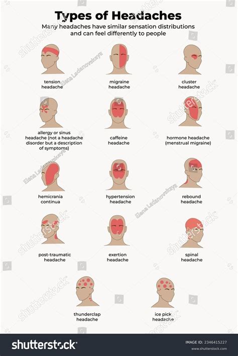 Headache Diagram Photos and Images | Shutterstock