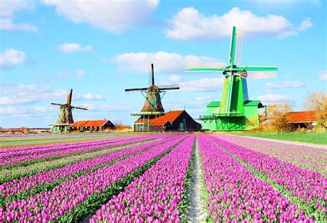 Holland Windmill Tours from Amsterdam - 2022 Travel Recommendations ...