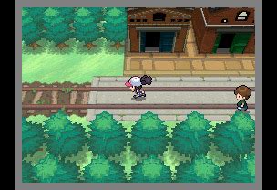 Pokémon Black Version and Pokémon White Version | Video Games & Apps