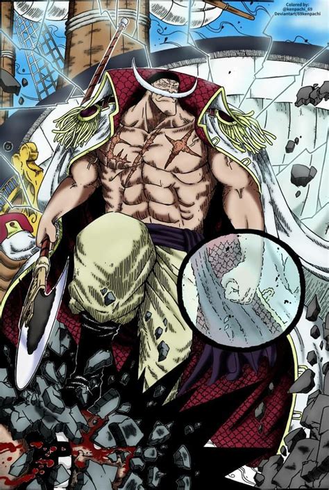 26+ one piece whitebeard young - LiliKhoiriah